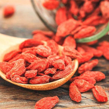 geringe Pestizide Goji Beere unterschiedlicher Größe